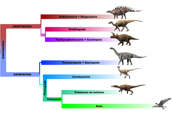 Classificació dels principals dinosaures