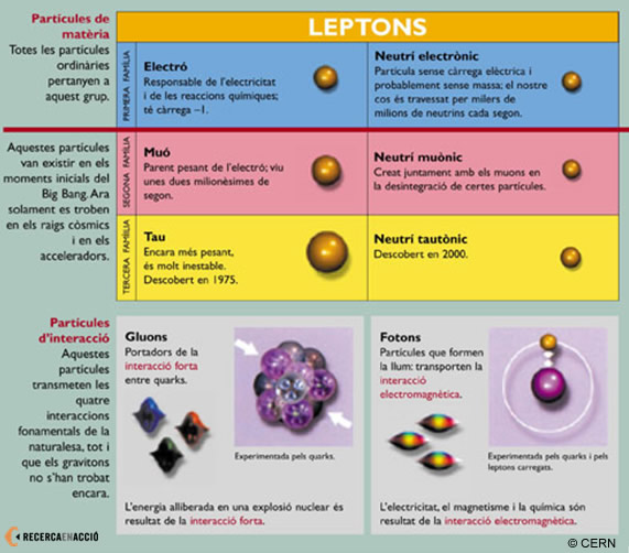 Leptons