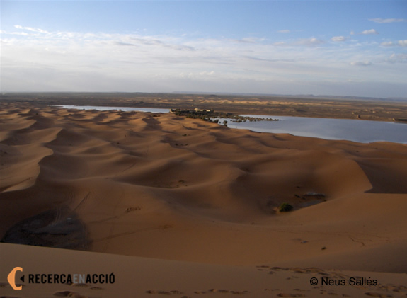 Vista general del l'estació d'anellament del desert