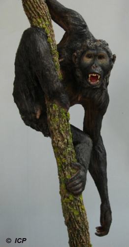 Escultura de Pierolapithecus (Pau)