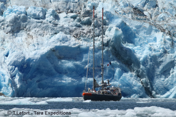 El Tara Oceans a l'Antàrtida