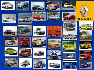 Diversitat d'una marca de vehicles