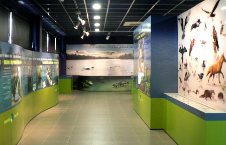 Exposició permanent a Aldover sobre el bosc de ribera 