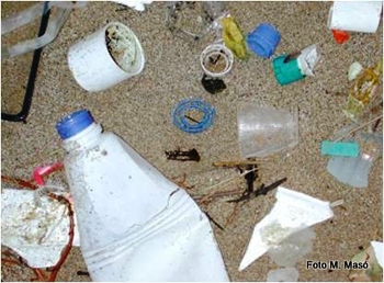 Detall de residus plàstics dipositats a la sorra de la platja. Fotografia de M. Masó.