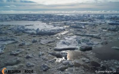 25: Larsen i el canvi climàtic