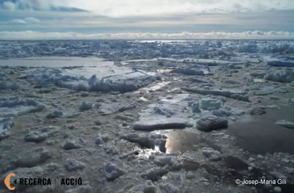 25: Larsen i el canvi climàtic