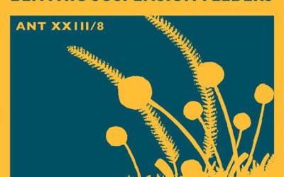 7: Què vol dir ser Cap d'un grup investigador?