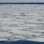 8: El gel marí