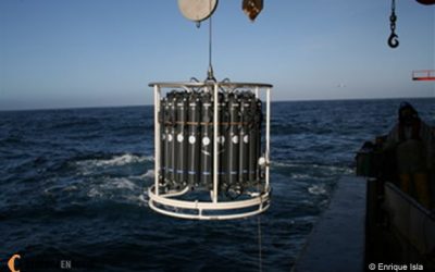 22: Observant la columna d'aigua de mar