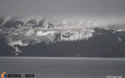 Hi ha fòssils a l'Antàrtida?