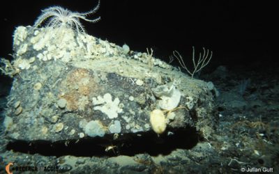 27: Els fons marins a Larsen