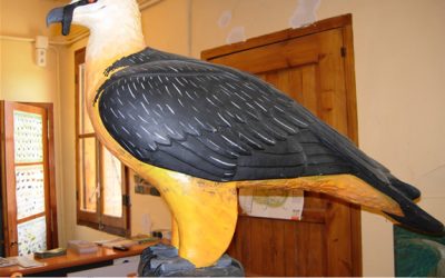 16: Visita a la Vall dels Voltors