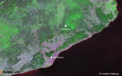 4: Disseny de la campanya