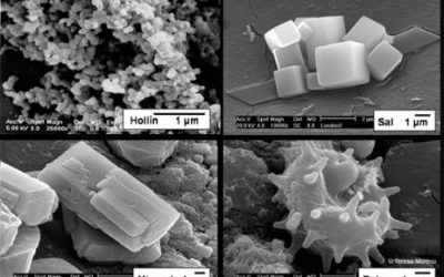 6: Propietats del material particulat (PM)