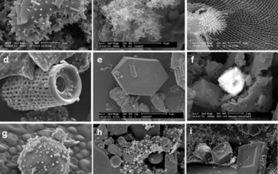 16: Primers resultats de química