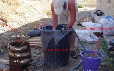 10: Quines plantes feien servir els habitants d'Althiburos?