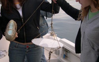 La participació a l'activitat 'Vida al Mar' ha estat un èxit