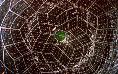 Els experiments us fallen continuament?