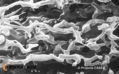 9. La selva de cristall