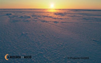 3. Arribada a l’Amundsen, la casa flotant dels científics