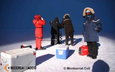 13. Treballar a les palpentes