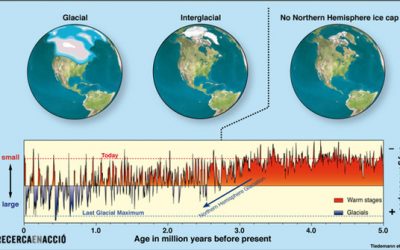 Què podem fer nosaltres per què no es desglacin els pols?