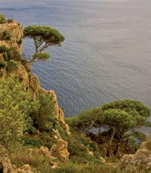 Connecta't a l'estiu!