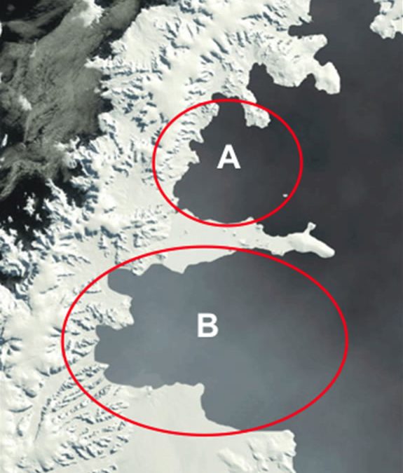 Primers resultats antàrtics