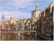 Participa a la Nit de la recerca 2008 !