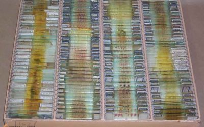 11. Relat d’estiu (segona part)