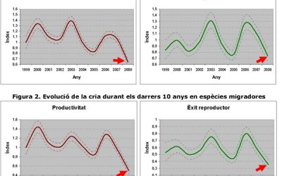 El 2008 ha estat la pitjor època de cria dels darrers anys pels ocells