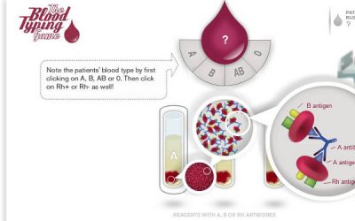 Identifica els grups sanguinis i salva els teus pacients
