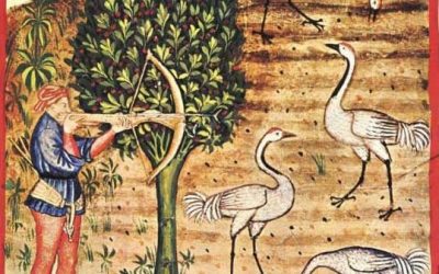 14. Qui no da ço que dol, no pren ço que vol