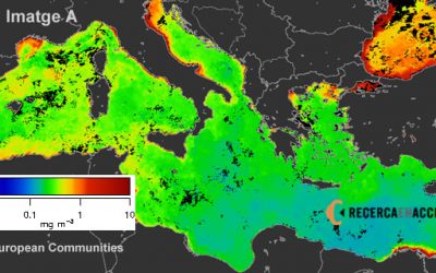 8. Per què el Mediterrani és blau?