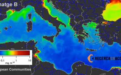 Termoclina i corrent càlid del Pacífic
