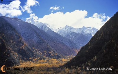 Què representen els mandales al Tibet?