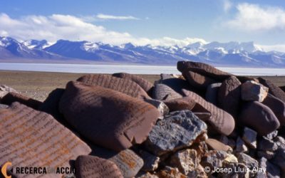 Quin és el llac més gran del Tibet? I el més petit?