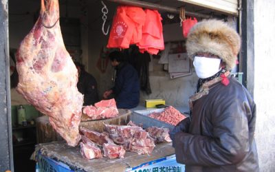 5. Badant pel mercat d'aliments de Lhasa