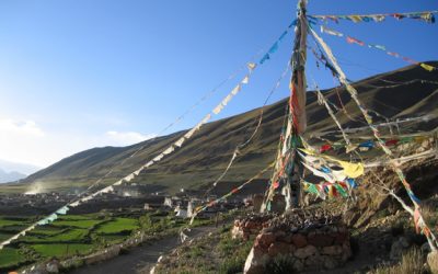 9. L'enigma de l'agricultura: llegendes vora el llac