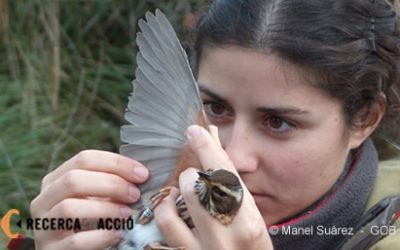 1. Des d’Àfrica fins al nord d’Europa