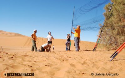 2. Iniciem la campanya!