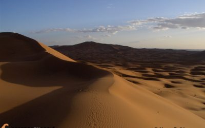 3. La migració dels ocells pel Sàhara: d’una sola tirada?, o pas a pas?