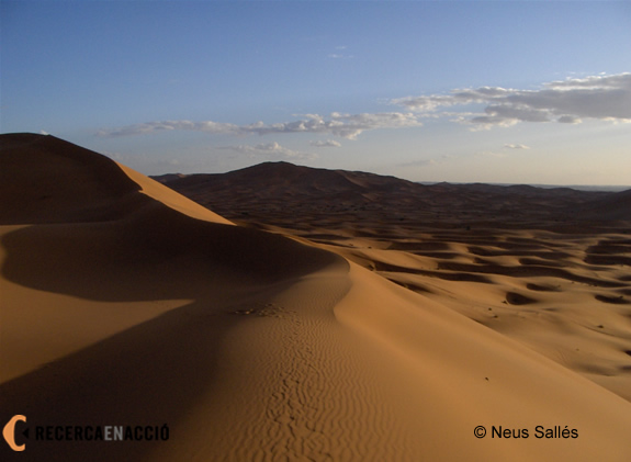 El Sàhara, el desert més gran del món