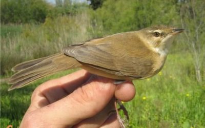 22. Una parada tècnica al camí