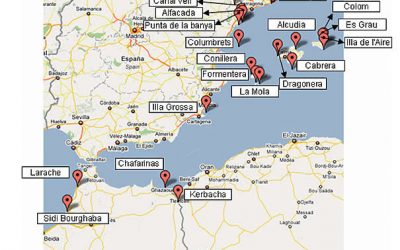 30. Prop de 20.000 ocells anellats… i algunes conclusions
