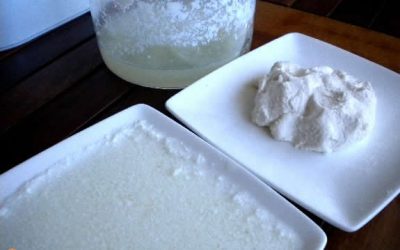 Llet, mató i ciència