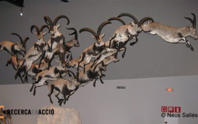 Parque de las Ciencias de Granada