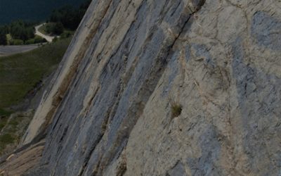 2. 3.000 petjades de dinosaures enmig del Berguedà