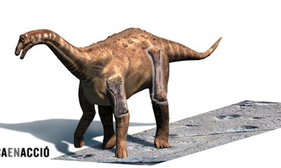 4. Han deixat emprentes a l’escena del crim!