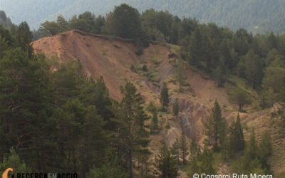 5. La prospecció paleontològica; mapa geològic, gps i unes bones xiruques!